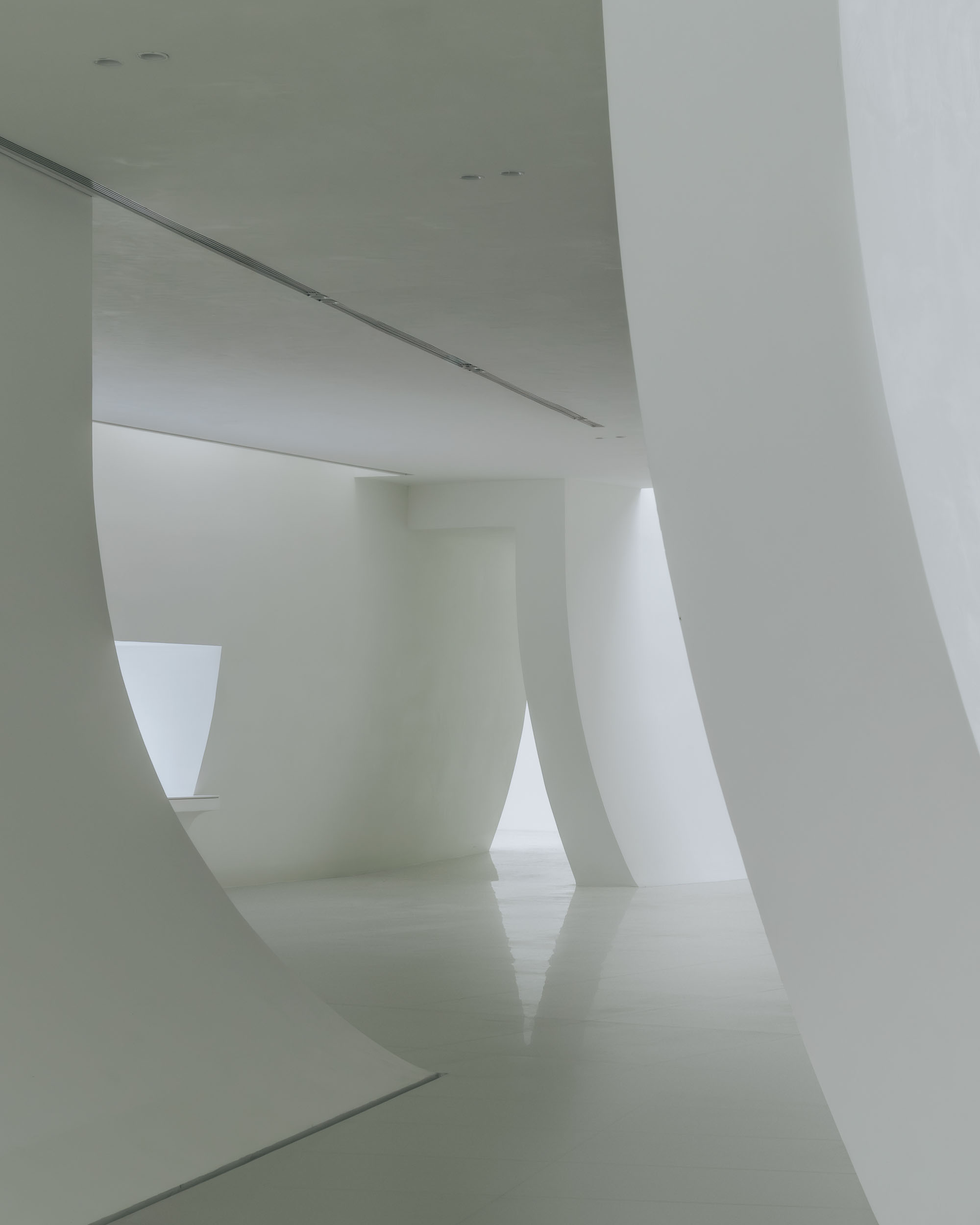 〈陳湖湿地アートセンター（Chenhu Wetland Art Center）〉TAO（Trace Architecture Office）