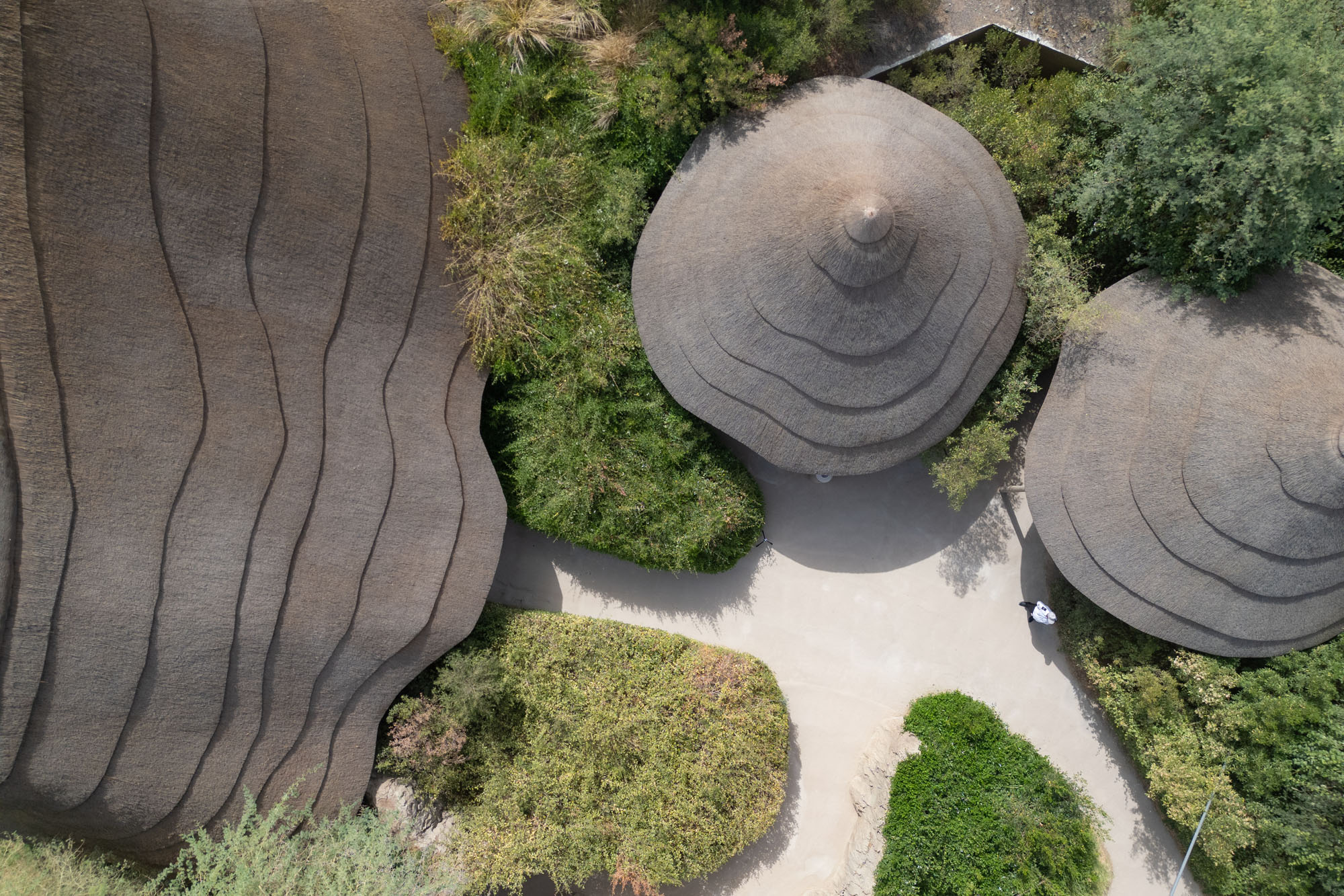 〈シャルジャ・ブリディ・パーク（Sharjah Bridi Park）〉ウルコ・サンチェス・アーキテクツ（Urko Sanchez Architects）