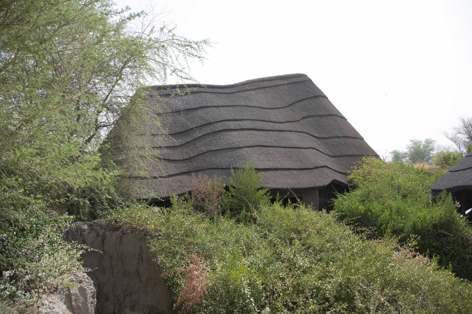 〈シャルジャ・ブリディ・パーク（Sharjah Bridi Park）〉ウルコ・サンチェス・アーキテクツ（Urko Sanchez Architects）
