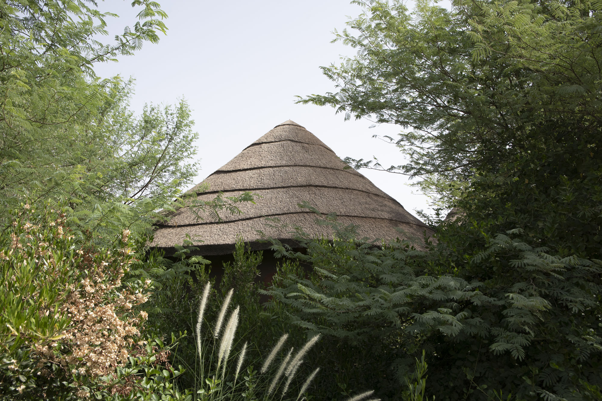 〈シャルジャ・ブリディ・パーク（Sharjah Bridi Park）〉ウルコ・サンチェス・アーキテクツ（Urko Sanchez Architects）