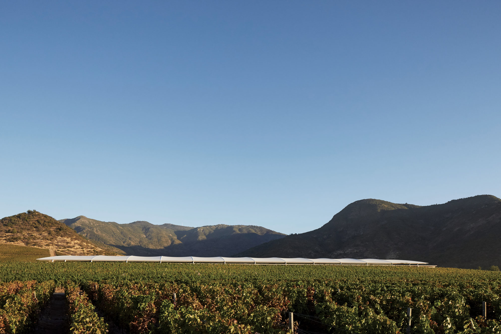 スミルハン・ラディック・クラークが2026年プリツカー建築賞を受賞