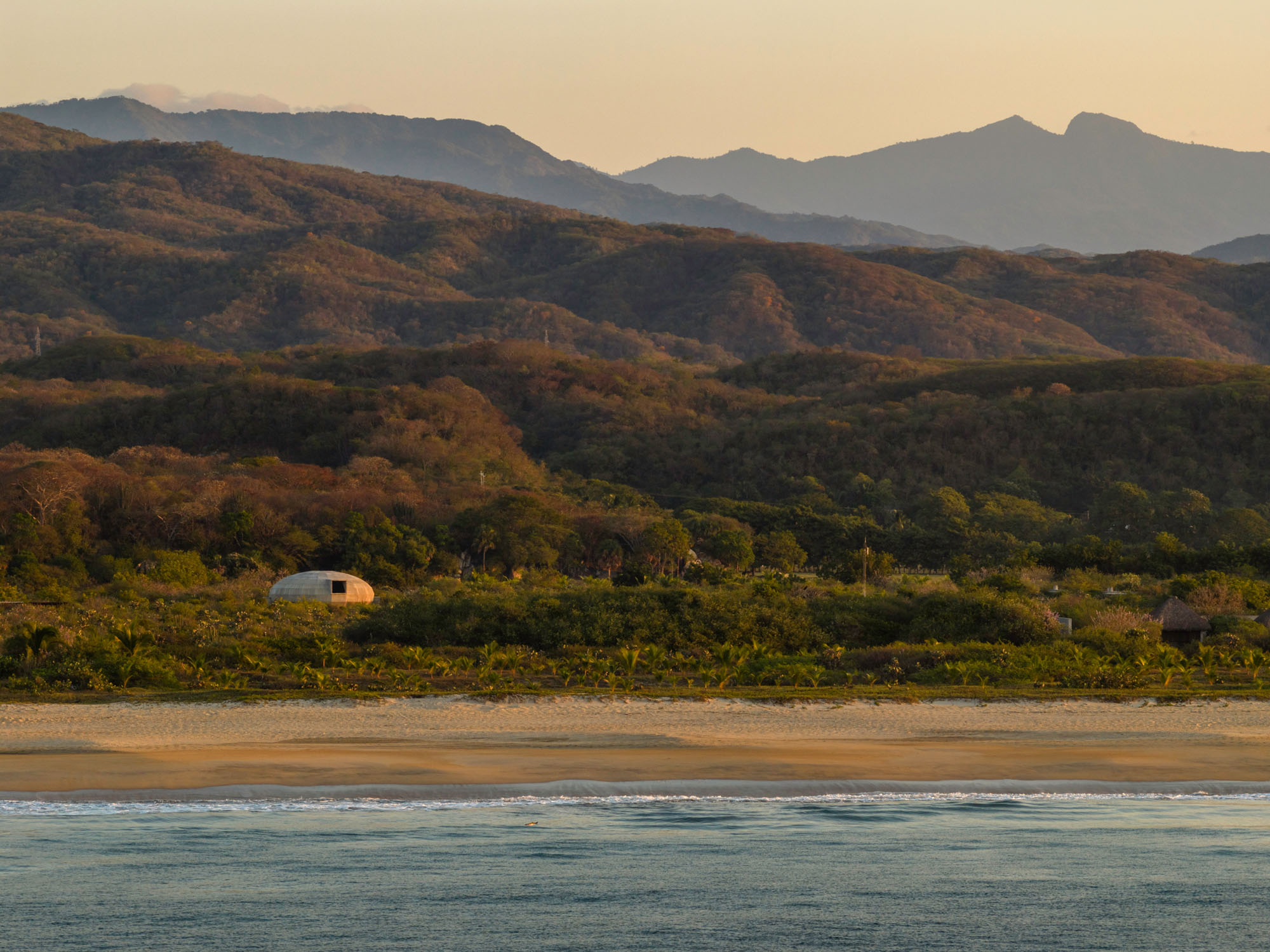 〈マッシュルーム・パビリオン(Mushroom Pavilion)〉OMA/重松昌平