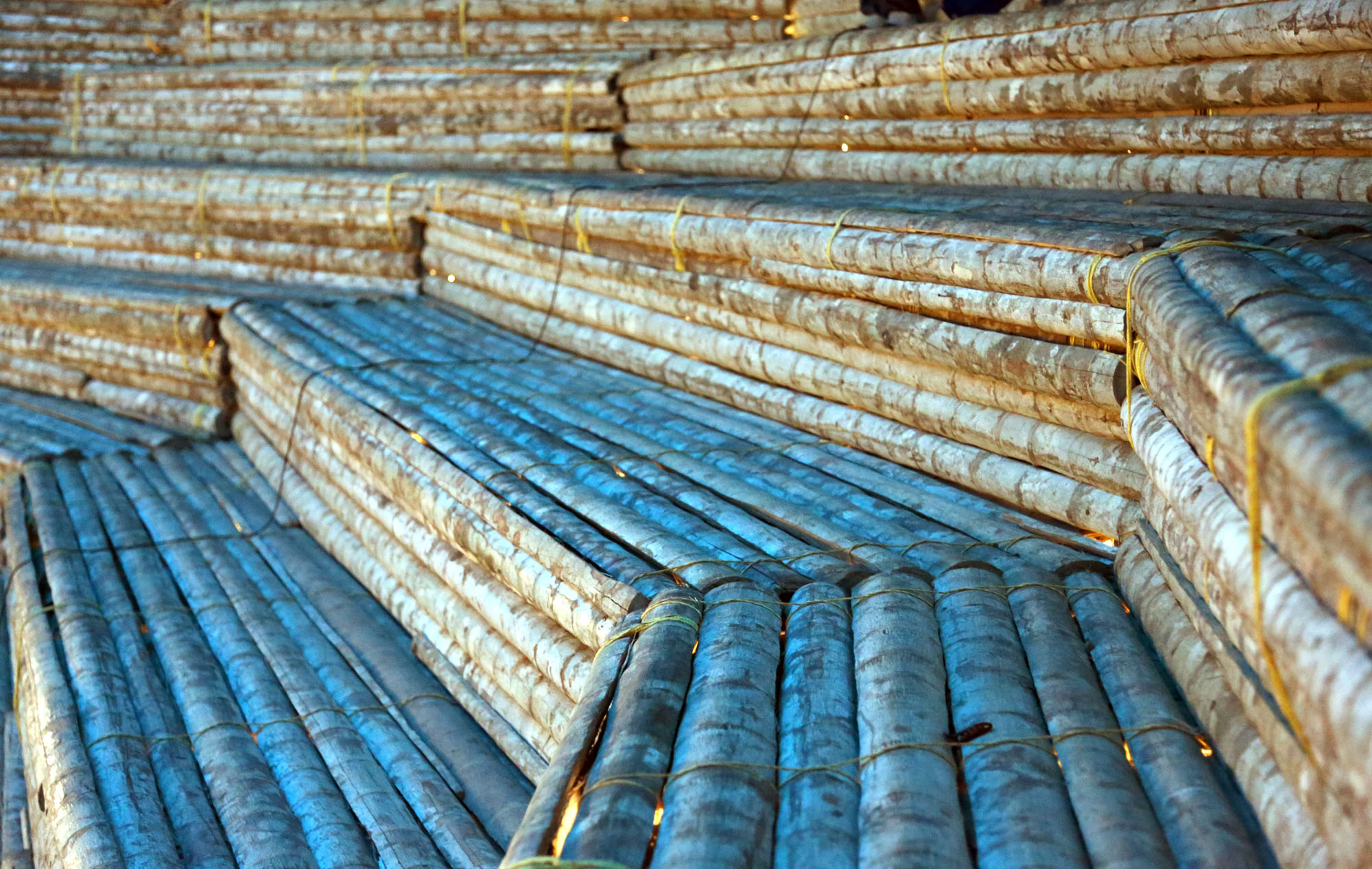 〈コチ・ビエンナーレ・パビリオン(Kochi Biennale Pavillion)〉Stapati