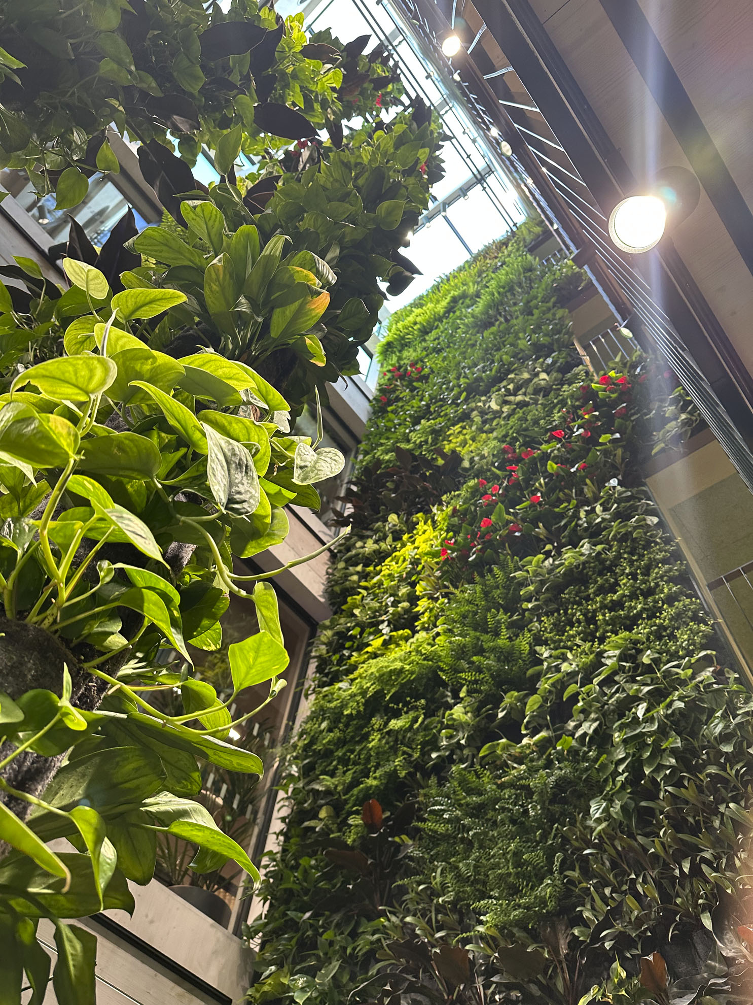 〈ヴィアレッド・センター(Viared Center)〉Wingårdhs