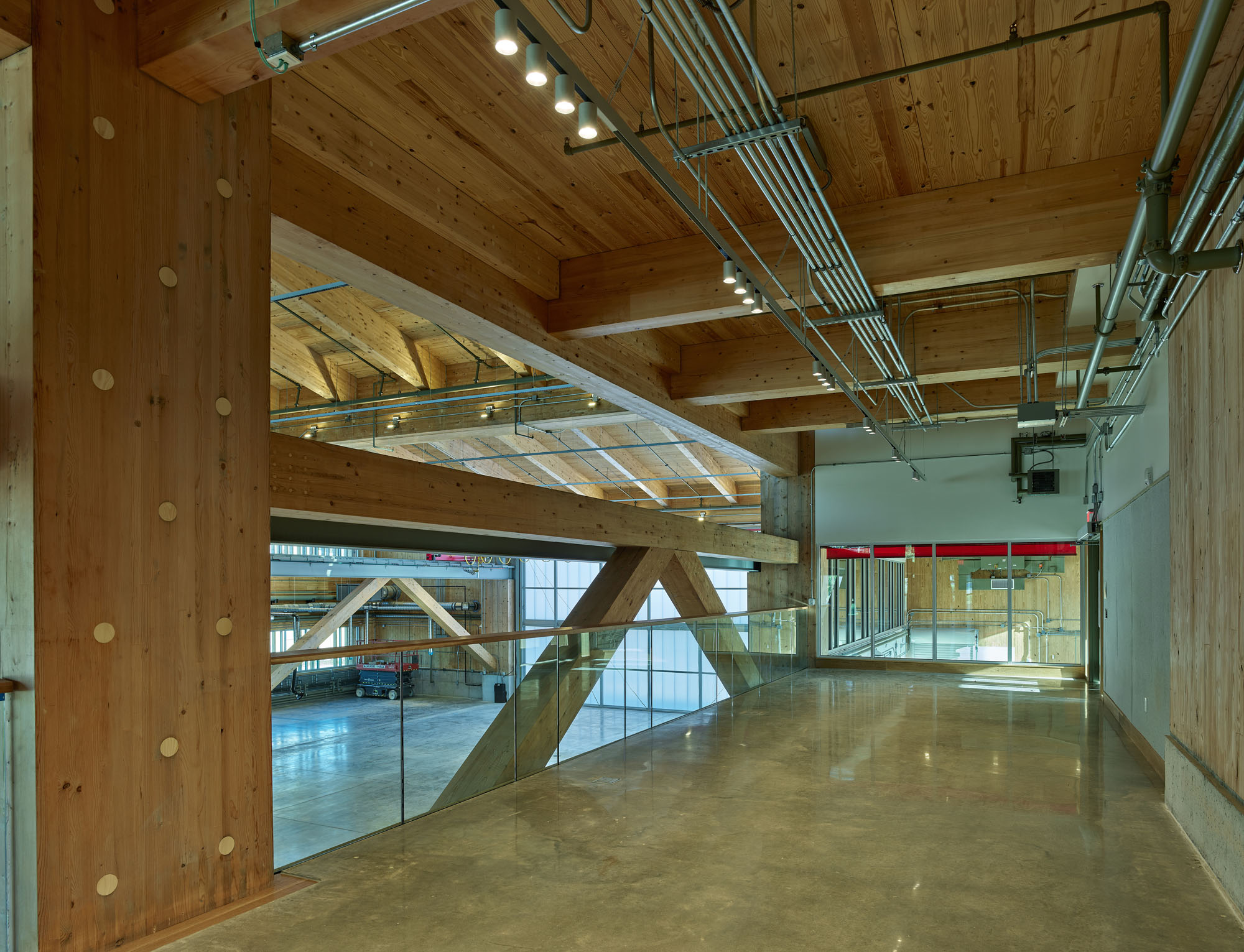 〈アンソニー・ティンバーランズ・センター(Anthony Timberlands Center)〉グラフトン・アーキテクツ(Grafton Architects)