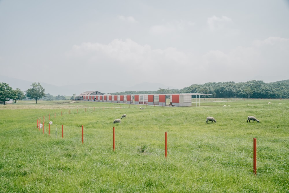 TOTOギャラリー・間「山田紗子展　parallel tunes」ポスター