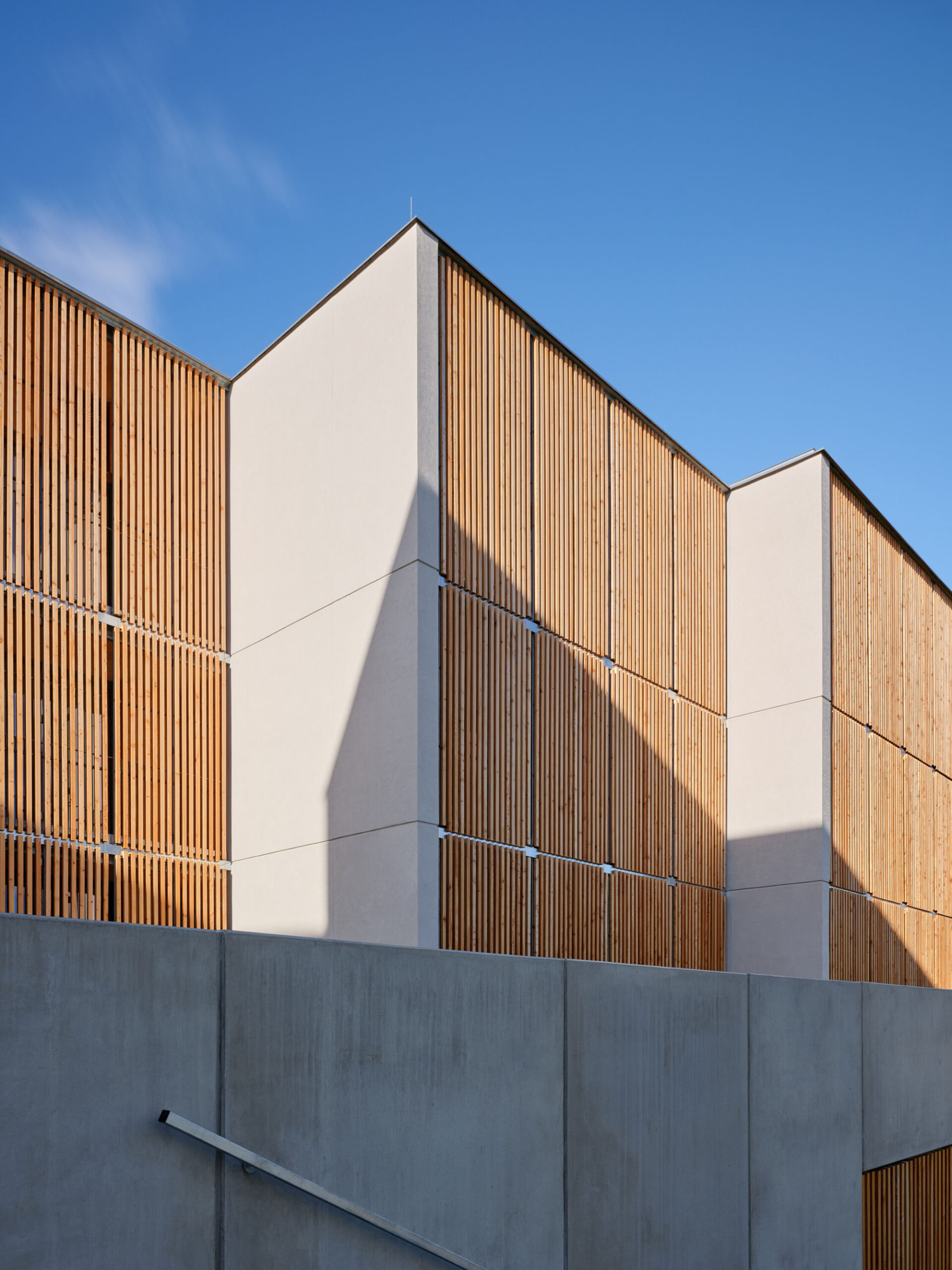 〈ズダル・ウッドハウジング(Zdar Wooden Housing)〉Kuba & Pilař architekti