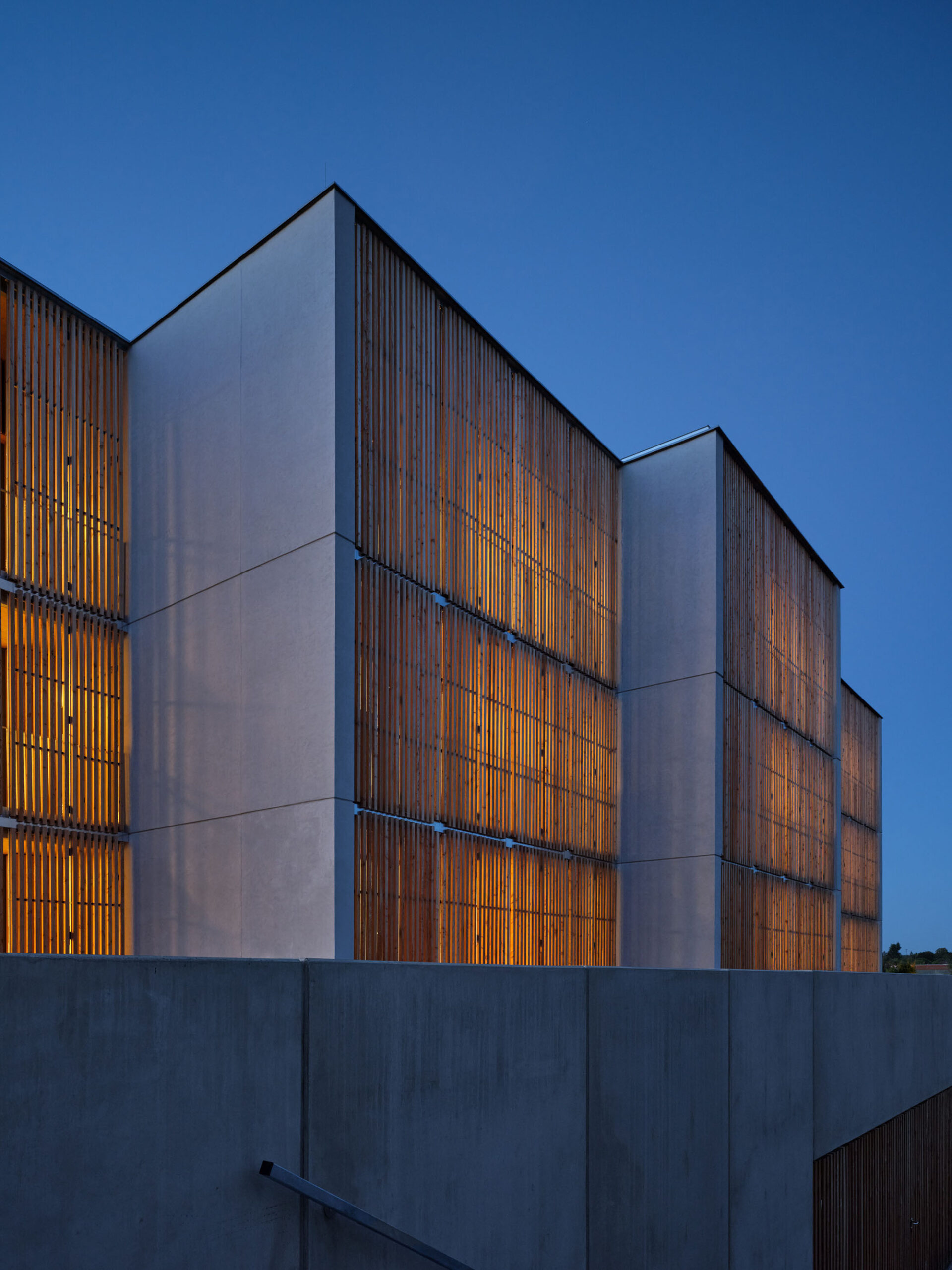 〈ズダル・ウッドハウジング(Zdar Wooden Housing)〉Kuba & Pilař architekti