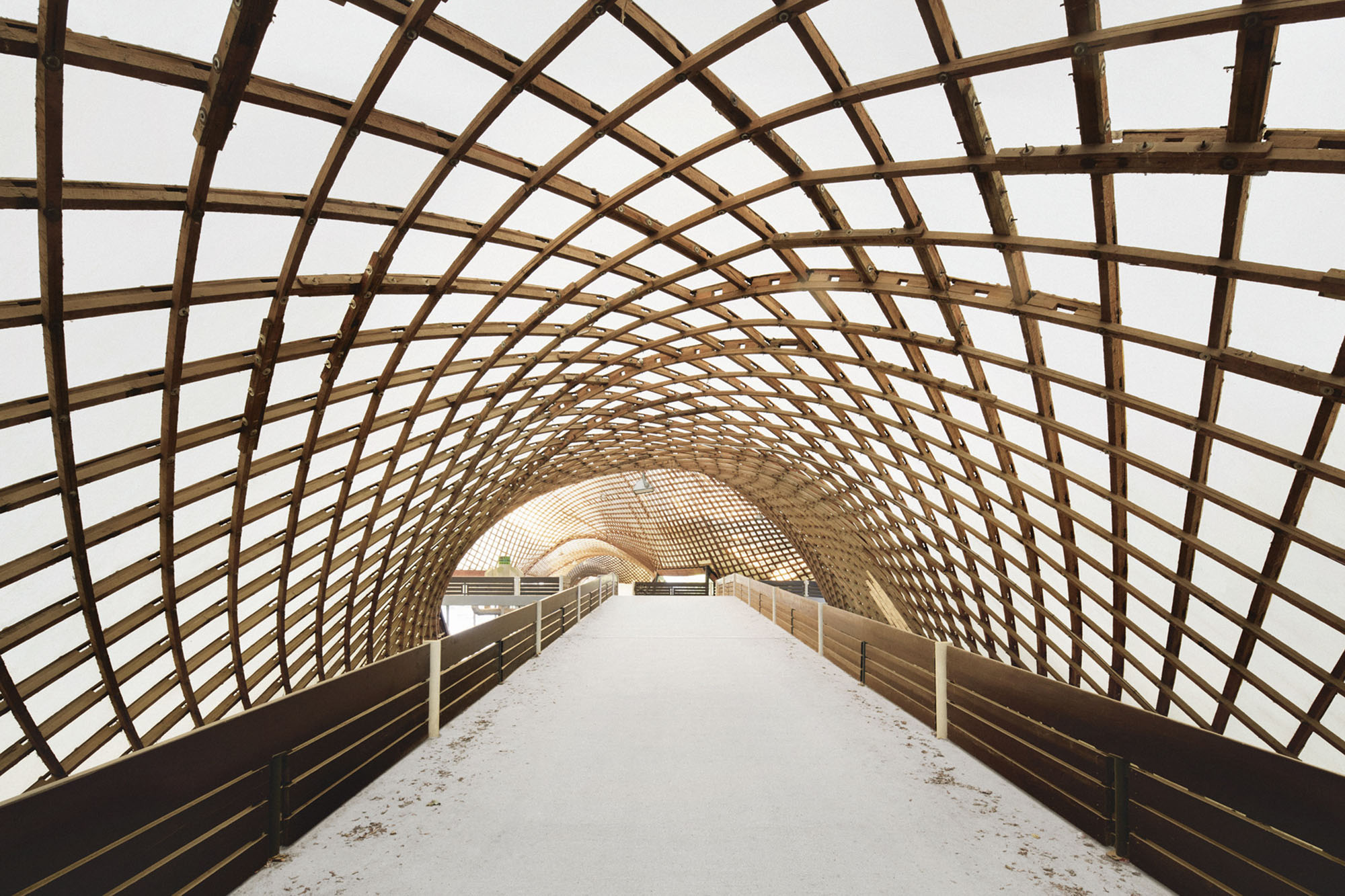 〈マンハイム多目的ホール〉Fast + Epp