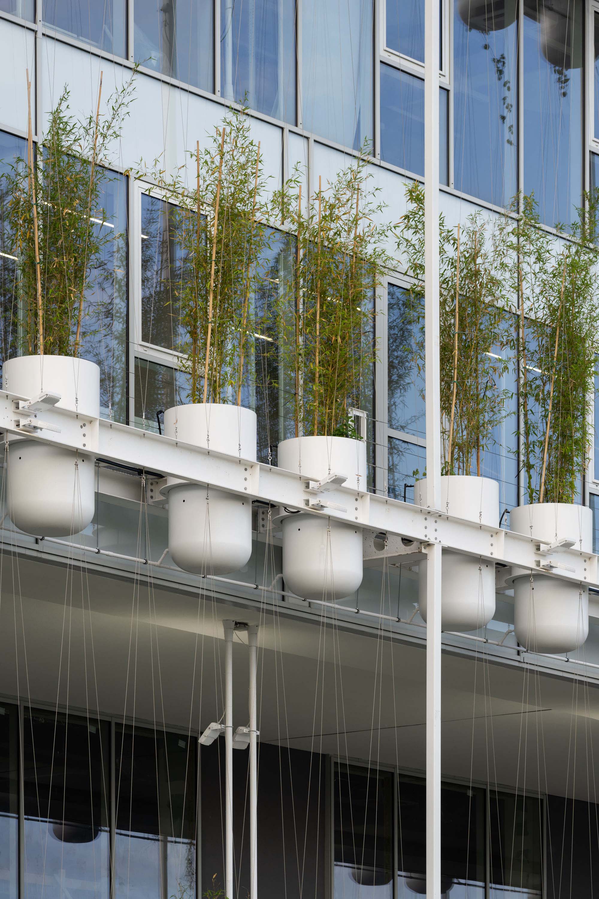 〈ロジオニカ（Ložionica）〉AKVSアーキテクチャ（AKVS architecture）