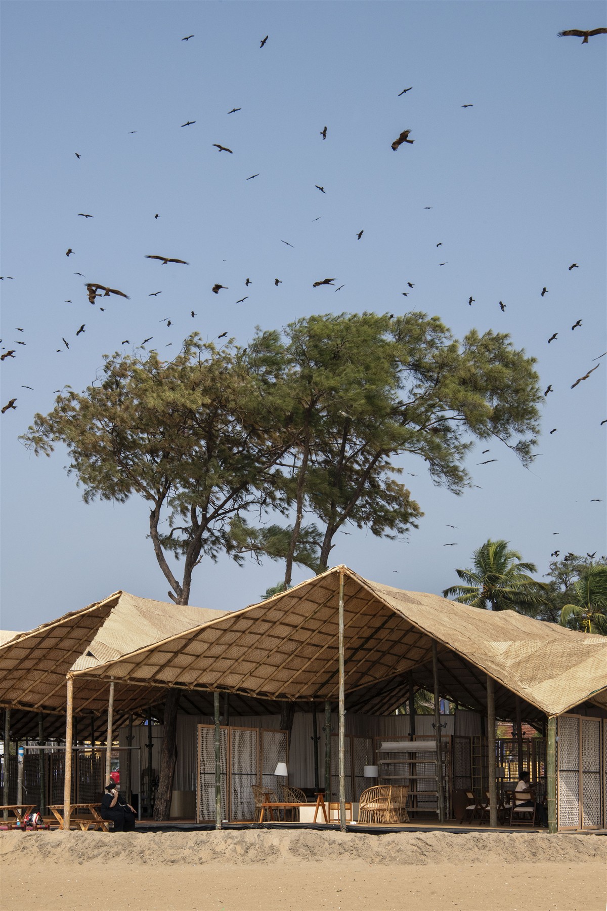 〈ドイツパビリオン（The German Pavilion）〉THE PURPLE INK STUDIO