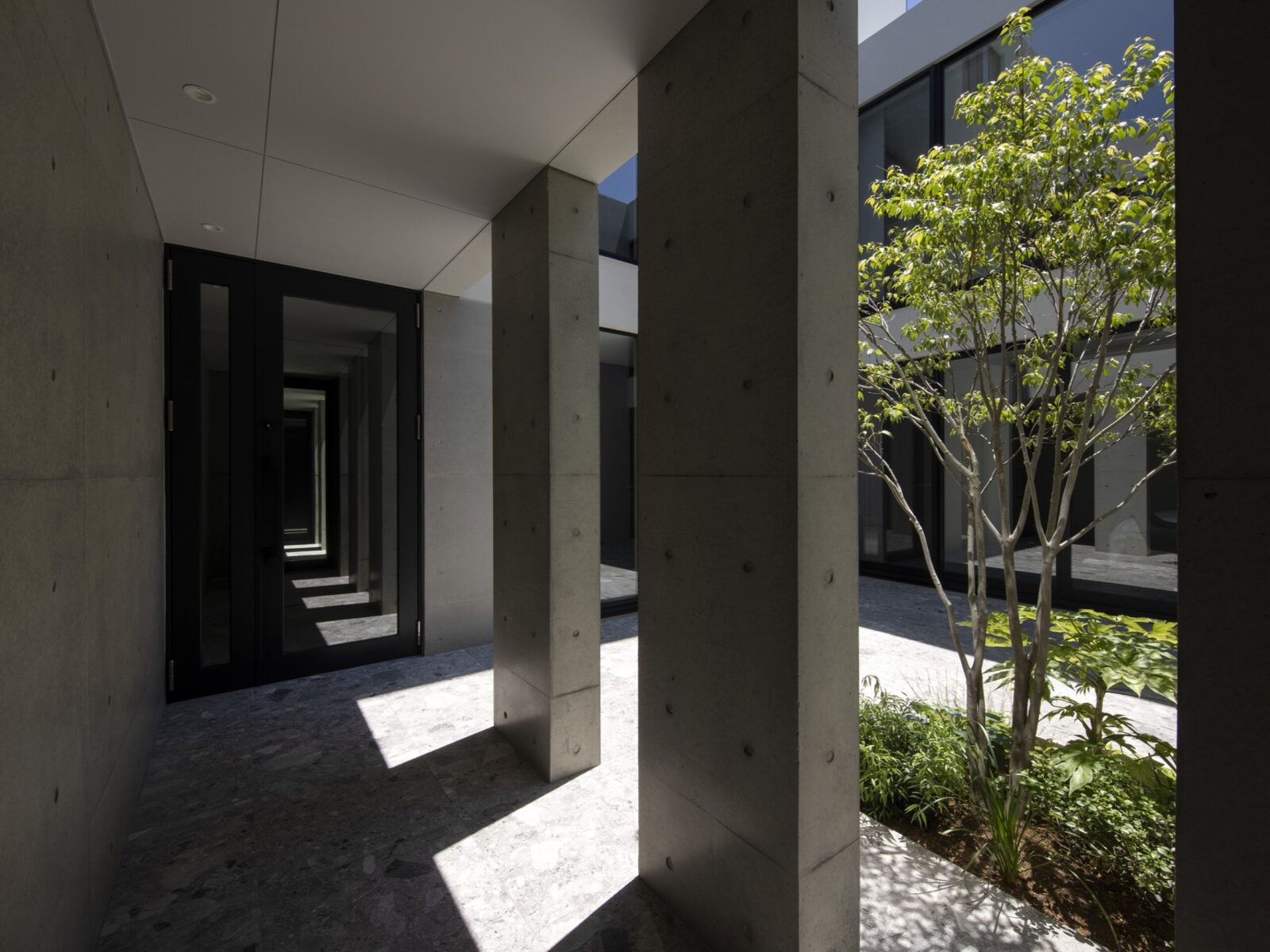 Outdoor corridor with concrete columns and glass doors, leading to a sunlit courtyard with a tree on the right.