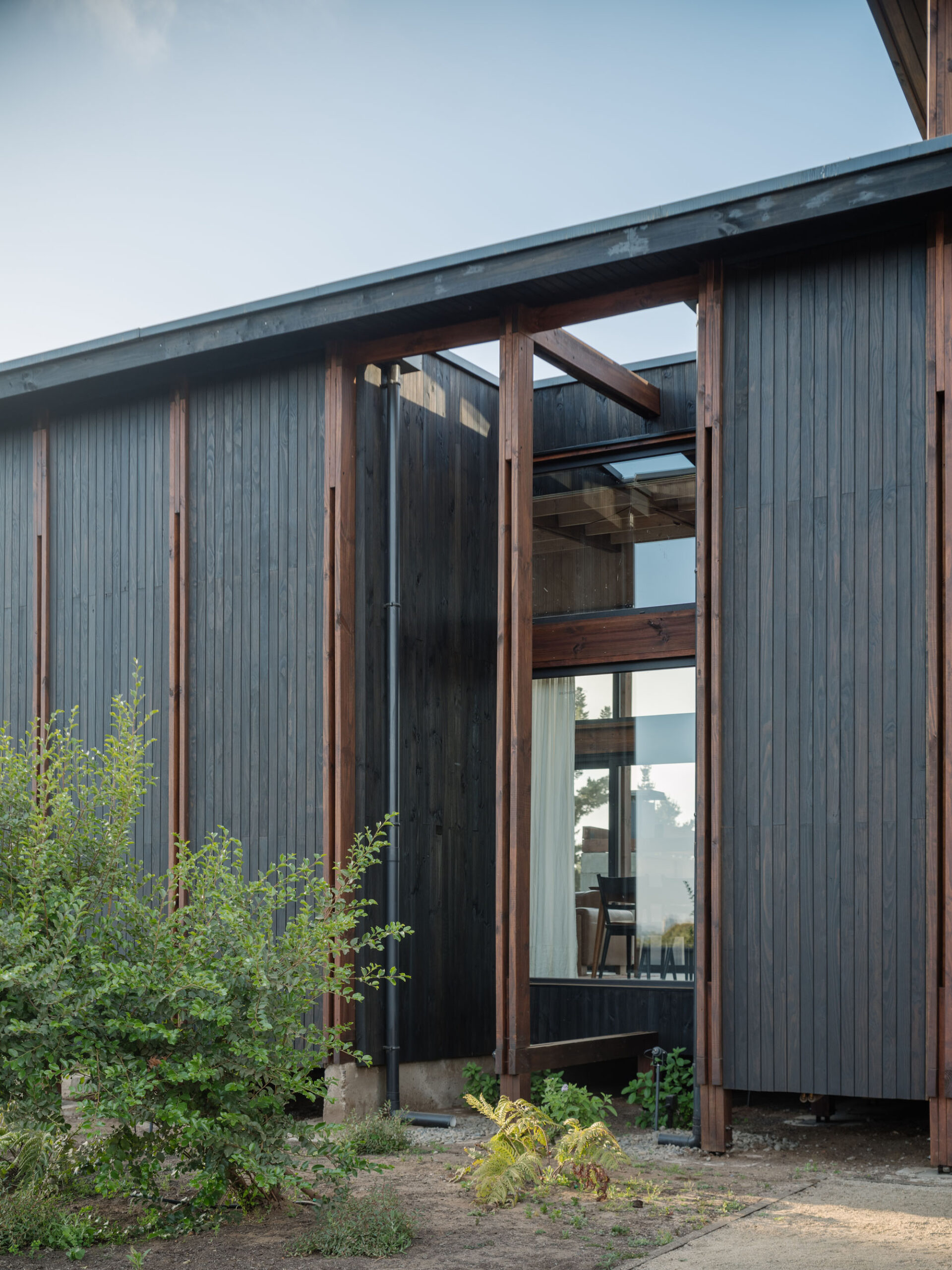 〈LOS PINOS HOUSE〉ESPIRAL ARQUITECTOS