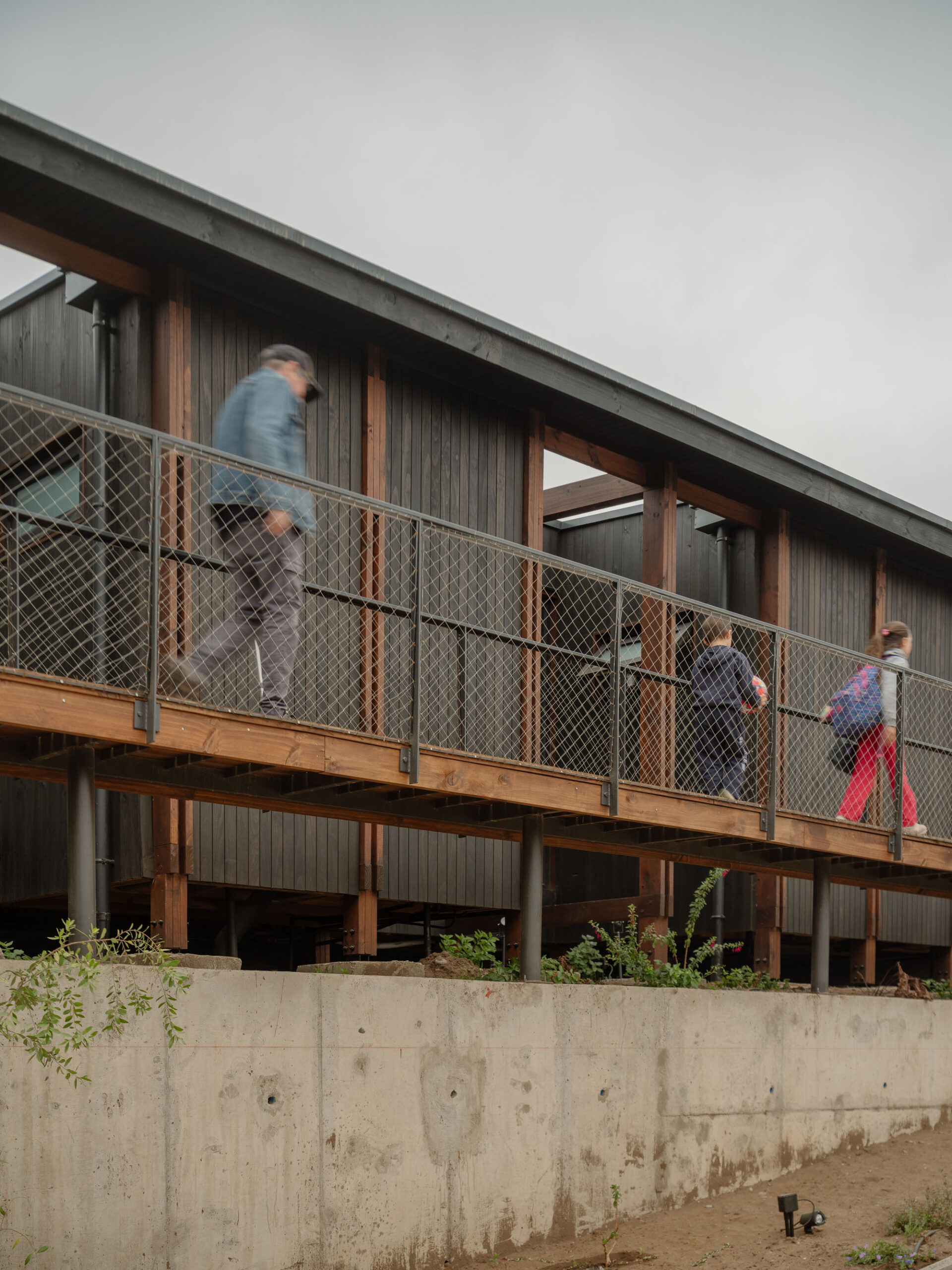 〈LOS PINOS HOUSE〉ESPIRAL ARQUITECTOS