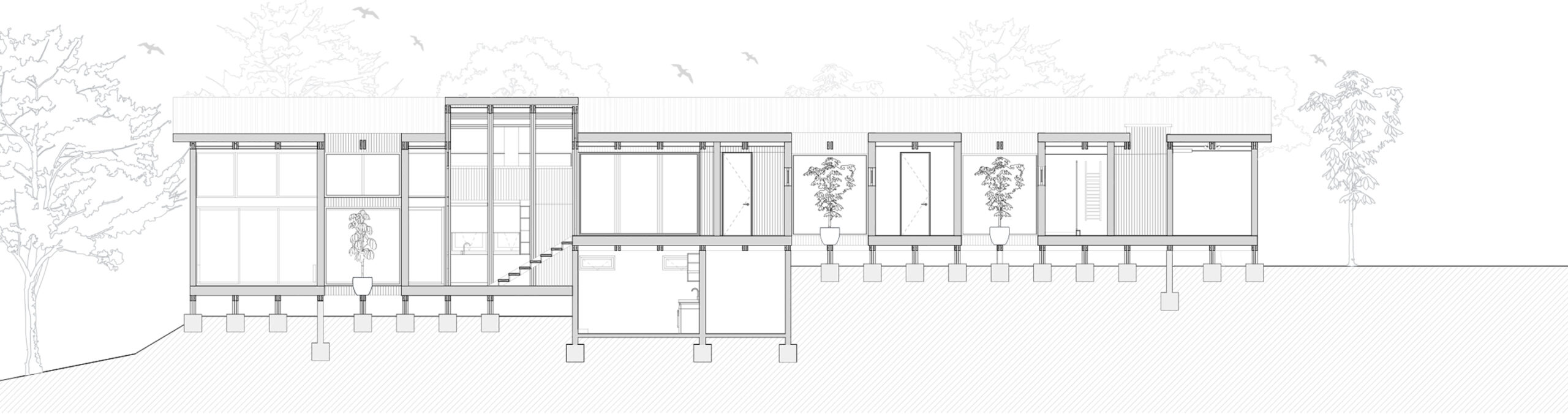 〈LOS PINOS HOUSE〉ESPIRAL ARQUITECTOS