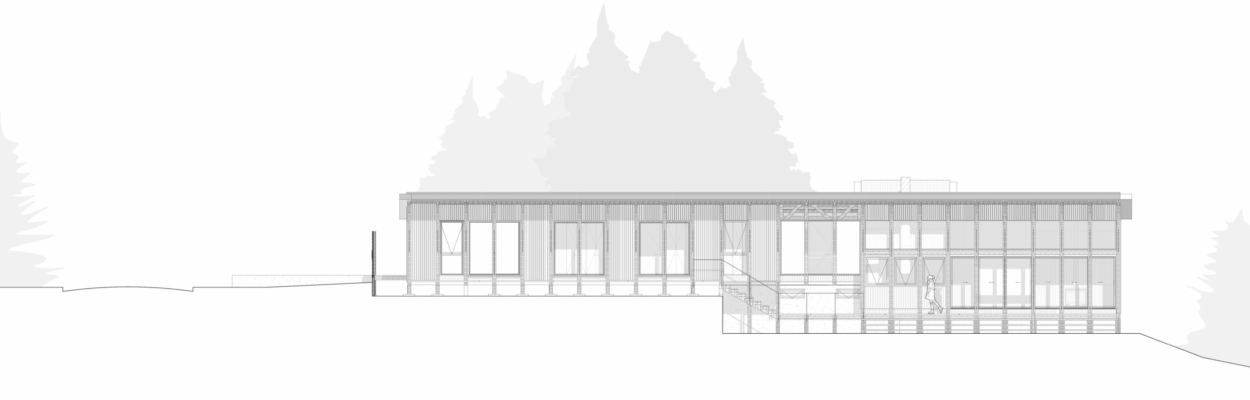 〈LOS PINOS HOUSE〉ESPIRAL ARQUITECTOS