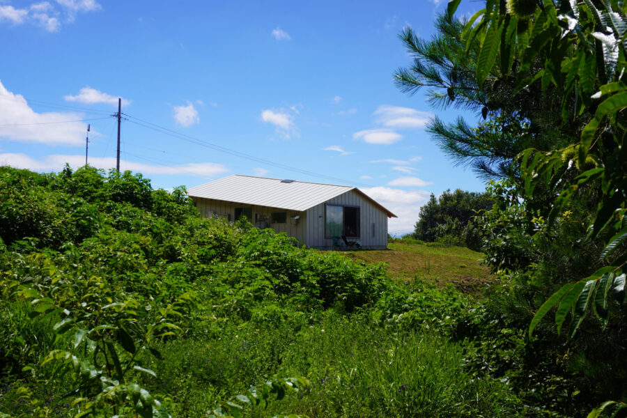 2026年3月：月間PVランキング 設計者インタビュー