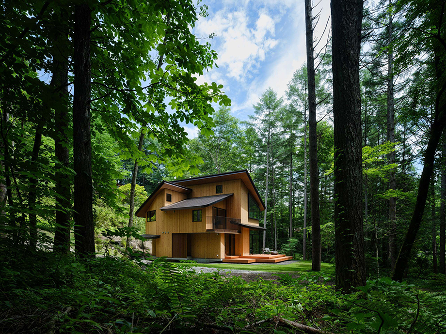 Wooden two-story cabin in a dense forest under a blue sky with tall trees nearby.