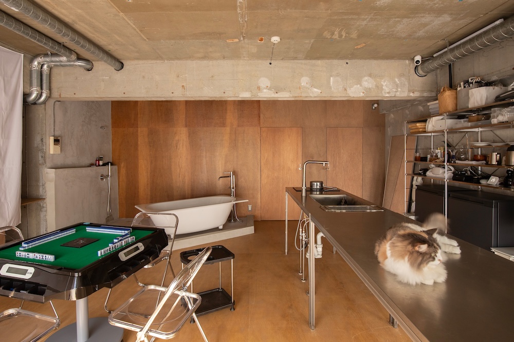 Industrial basement kitchen scene with a freestanding bathtub against wood-paneled wall and a long stainless steel island; fluffy cat resting on the counter.