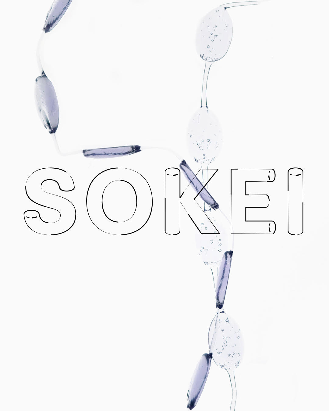 光伸プランニング「SOKEI PHASE 2」