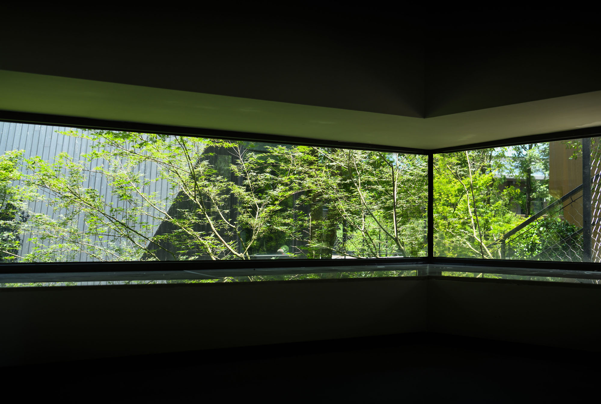 〈Houses of Stealth（Tonglu Senbo Resort）〉SpActrum