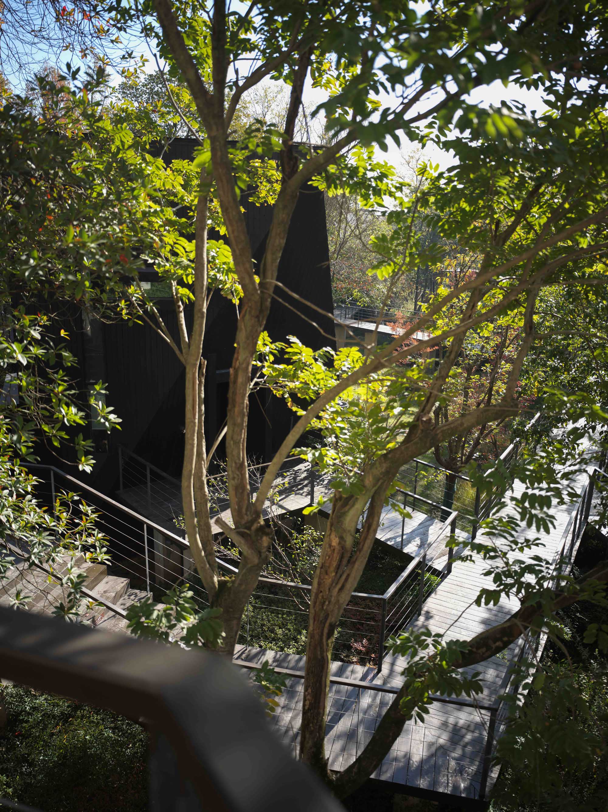 〈Houses of Stealth（Tonglu Senbo Resort）〉SpActrum
