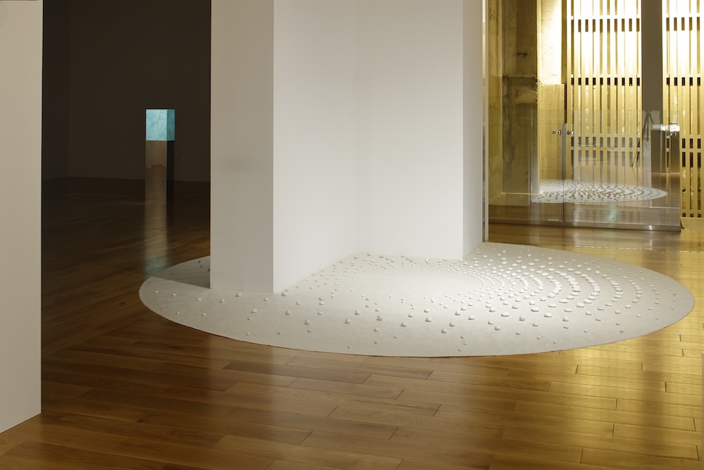 WHAT MUSEUM「波板と珊瑚礁展」展