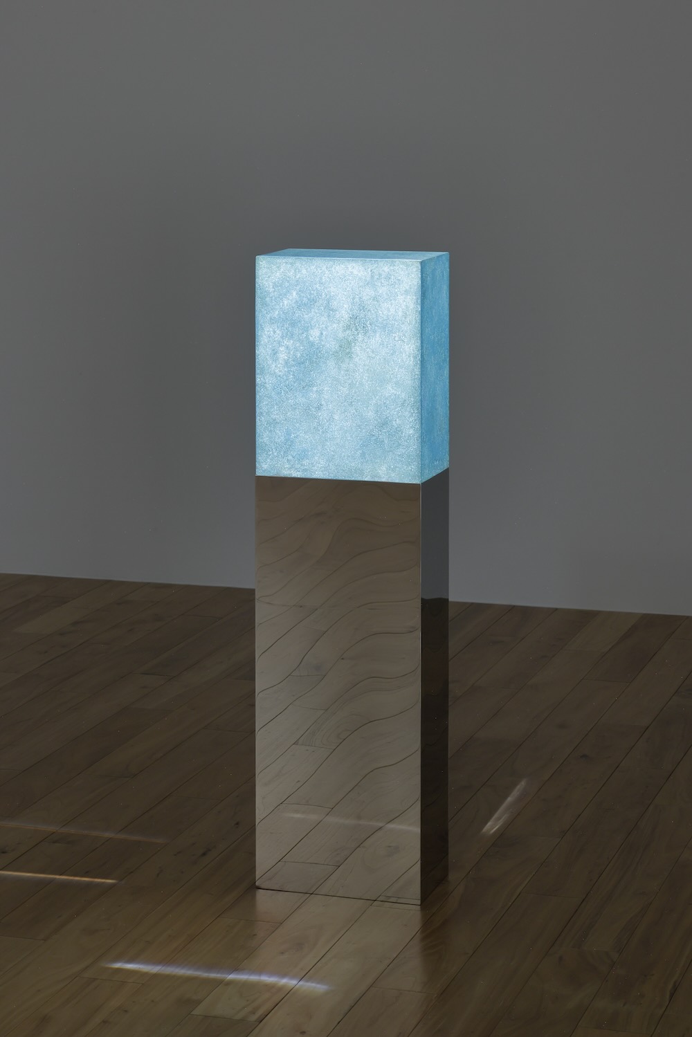 WHAT MUSEUM「波板と珊瑚礁展」展
