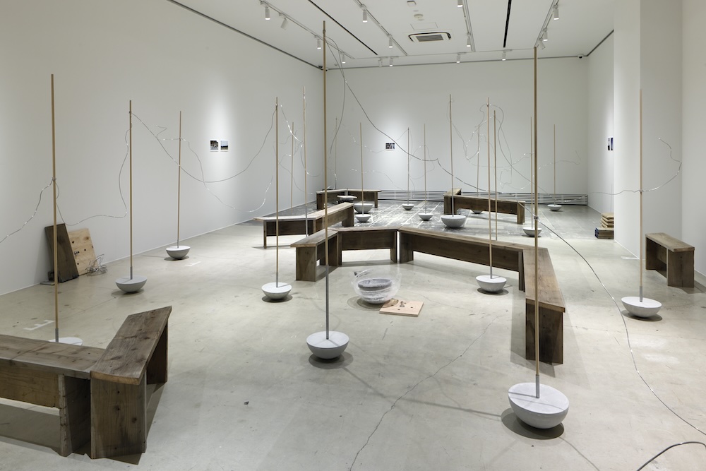 WHAT MUSEUM「波板と珊瑚礁展」展