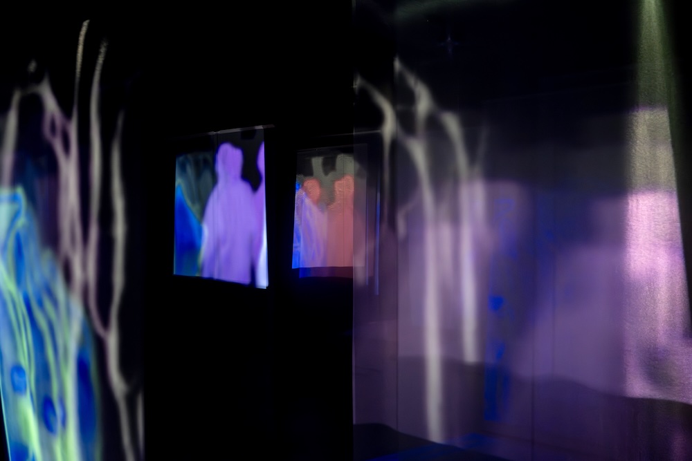 WHAT MUSEUM「波板と珊瑚礁展」展