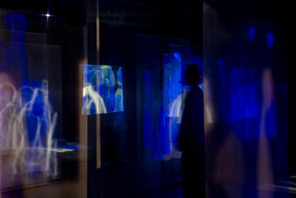 WHAT MUSEUM「波板と珊瑚礁展」展