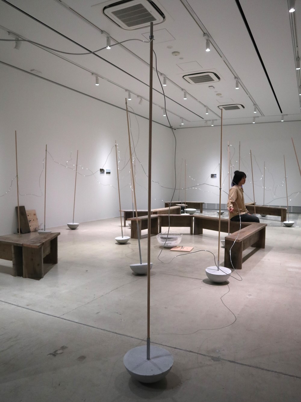 WHAT MUSEUM「波板と珊瑚礁展」展
