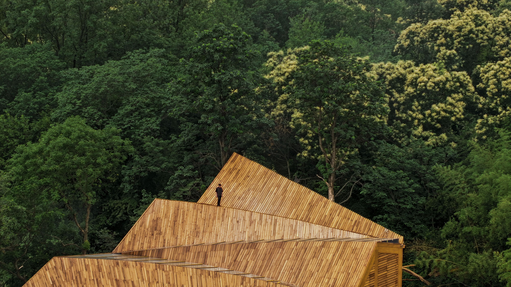 〈カーペンターズ・ホーム(Carpenter's Home)〉プライマリー・アーキテクツ(Primary Architects)