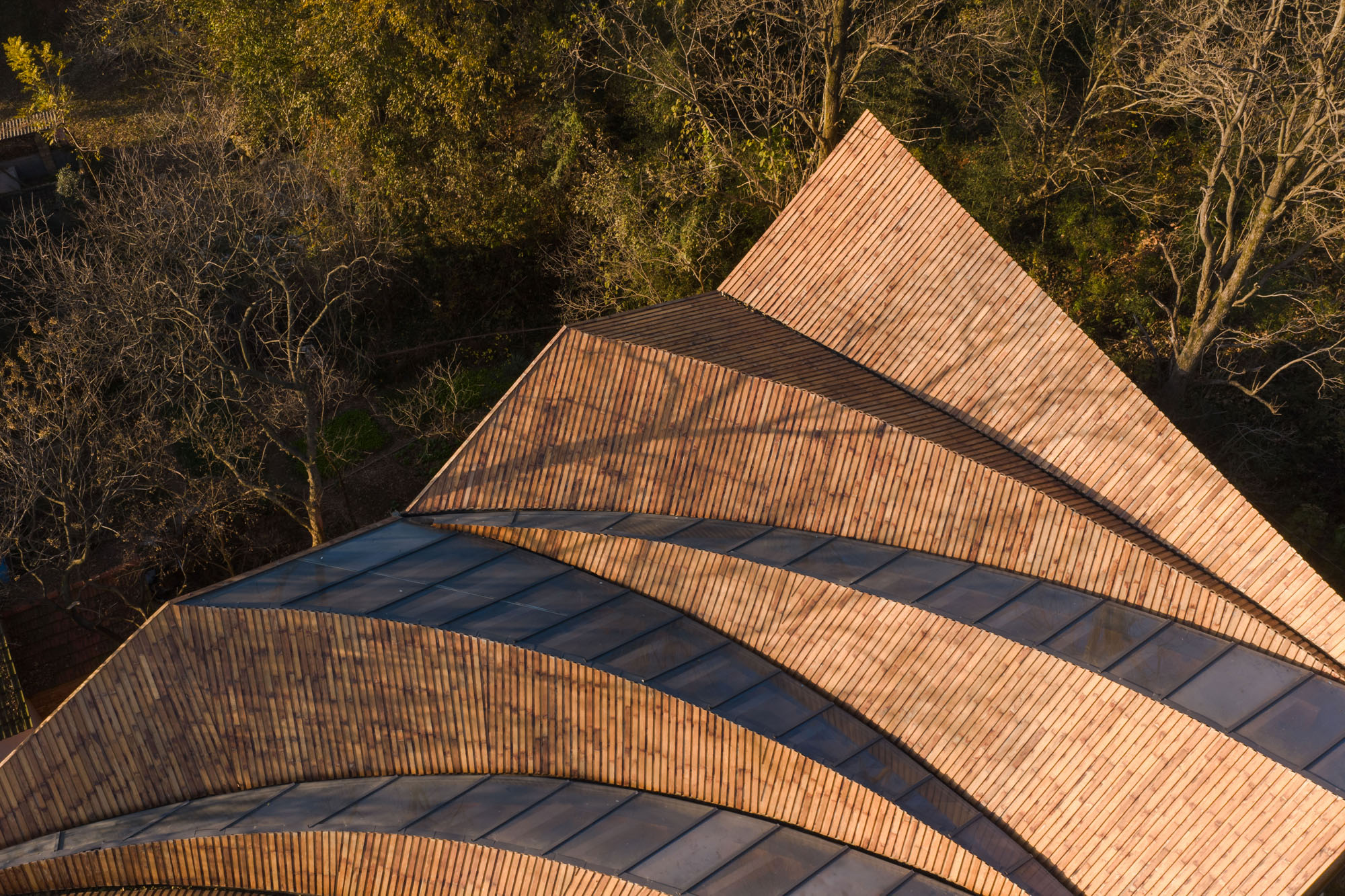〈カーペンターズ・ホーム(Carpenter's Home)〉プライマリー・アーキテクツ(Primary Architects)