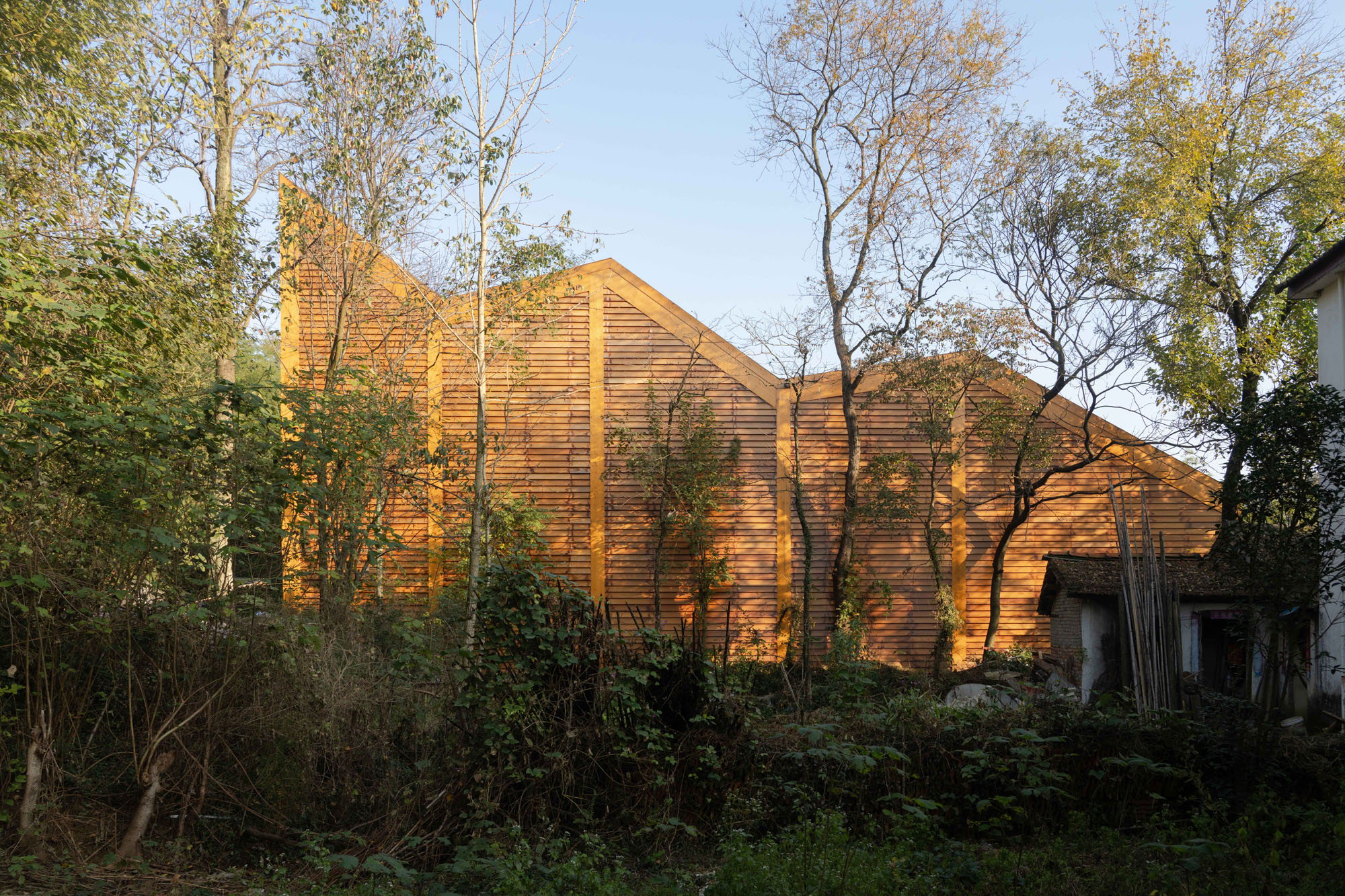 〈カーペンターズ・ホーム(Carpenter's Home)〉プライマリー・アーキテクツ(Primary Architects)