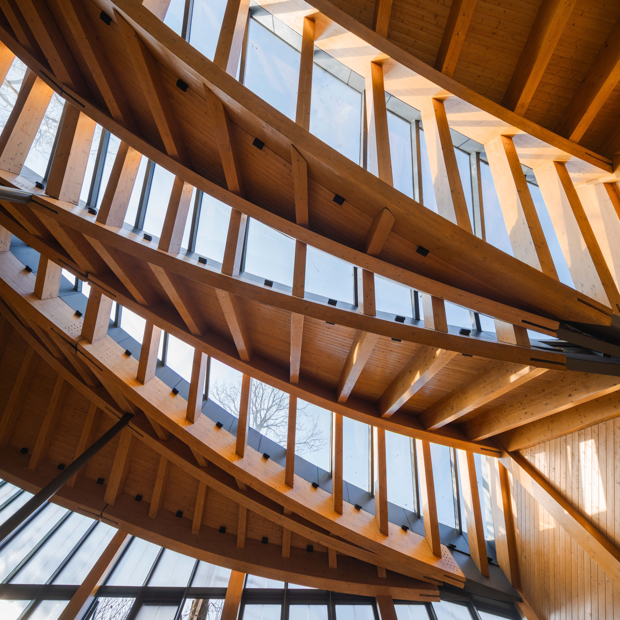 〈カーペンターズ・ホーム(Carpenter's Home)〉プライマリー・アーキテクツ(Primary Architects)