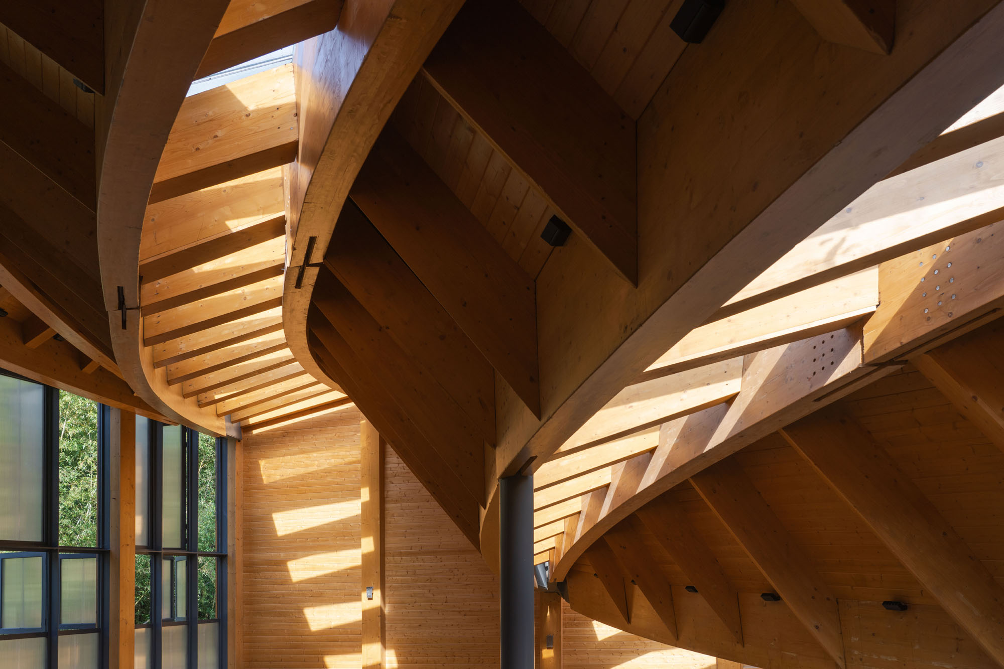 〈カーペンターズ・ホーム(Carpenter's Home)〉プライマリー・アーキテクツ(Primary Architects)