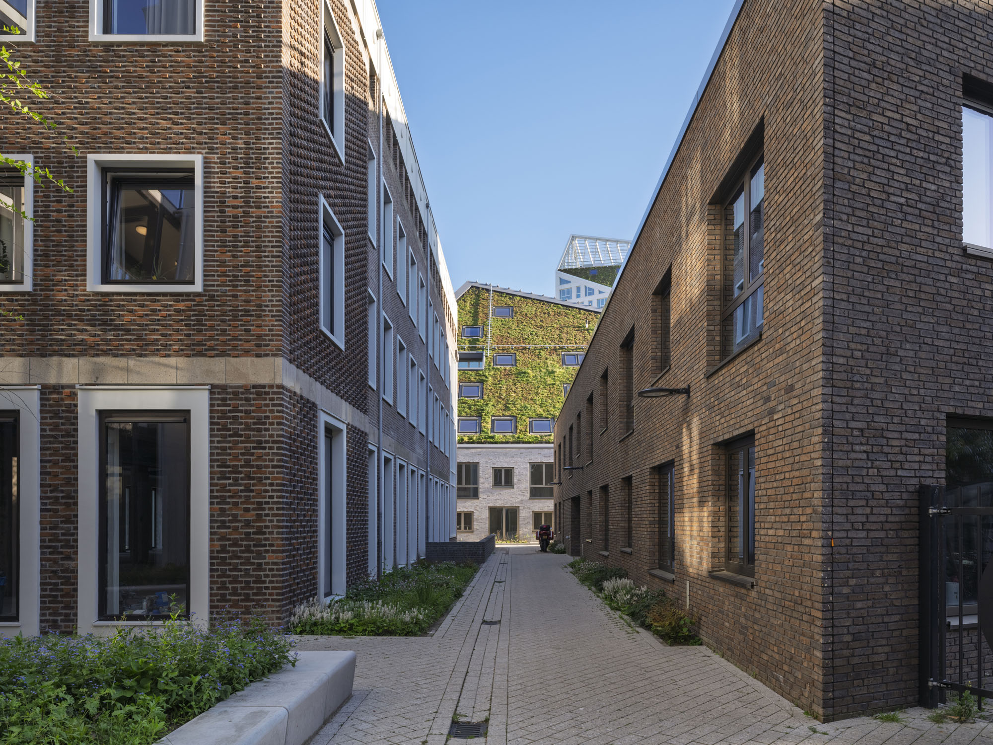 〈ニュー・ベルゲン(Nieuw Bergen)〉MVRDV