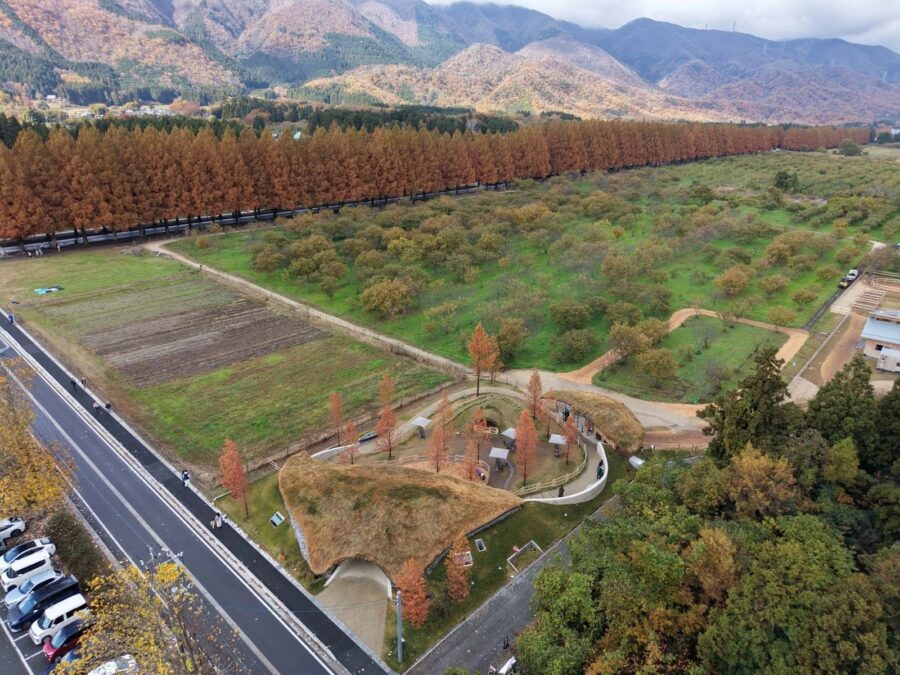 芦澤竜一建築設計事務所が滋賀県で手掛けた、ランドスケープに溶け込み馬と共生する〈メタセコイアと馬の森 〉
