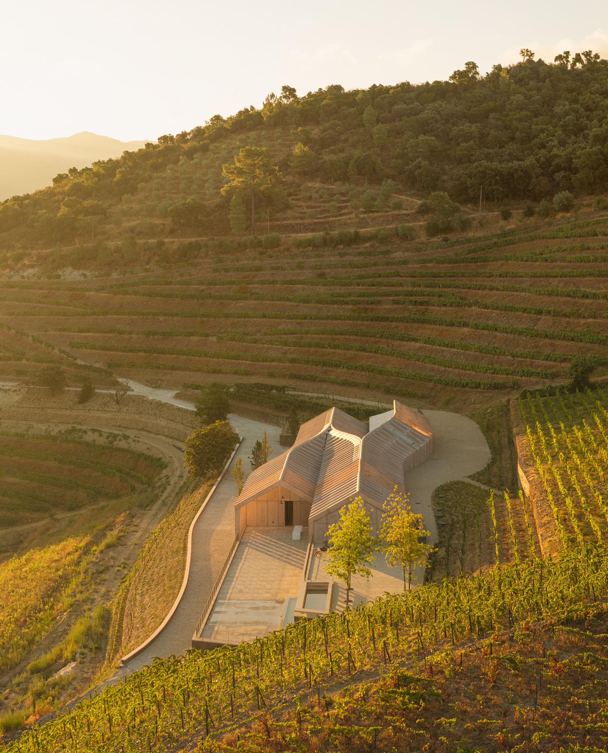 〈キンタ・デ・アドリゴ・ワイナリー(Quinta de Adorigo Winery)〉アトリエ・セルジオ・レベロ(Atelier Sérgio Rebelo)
