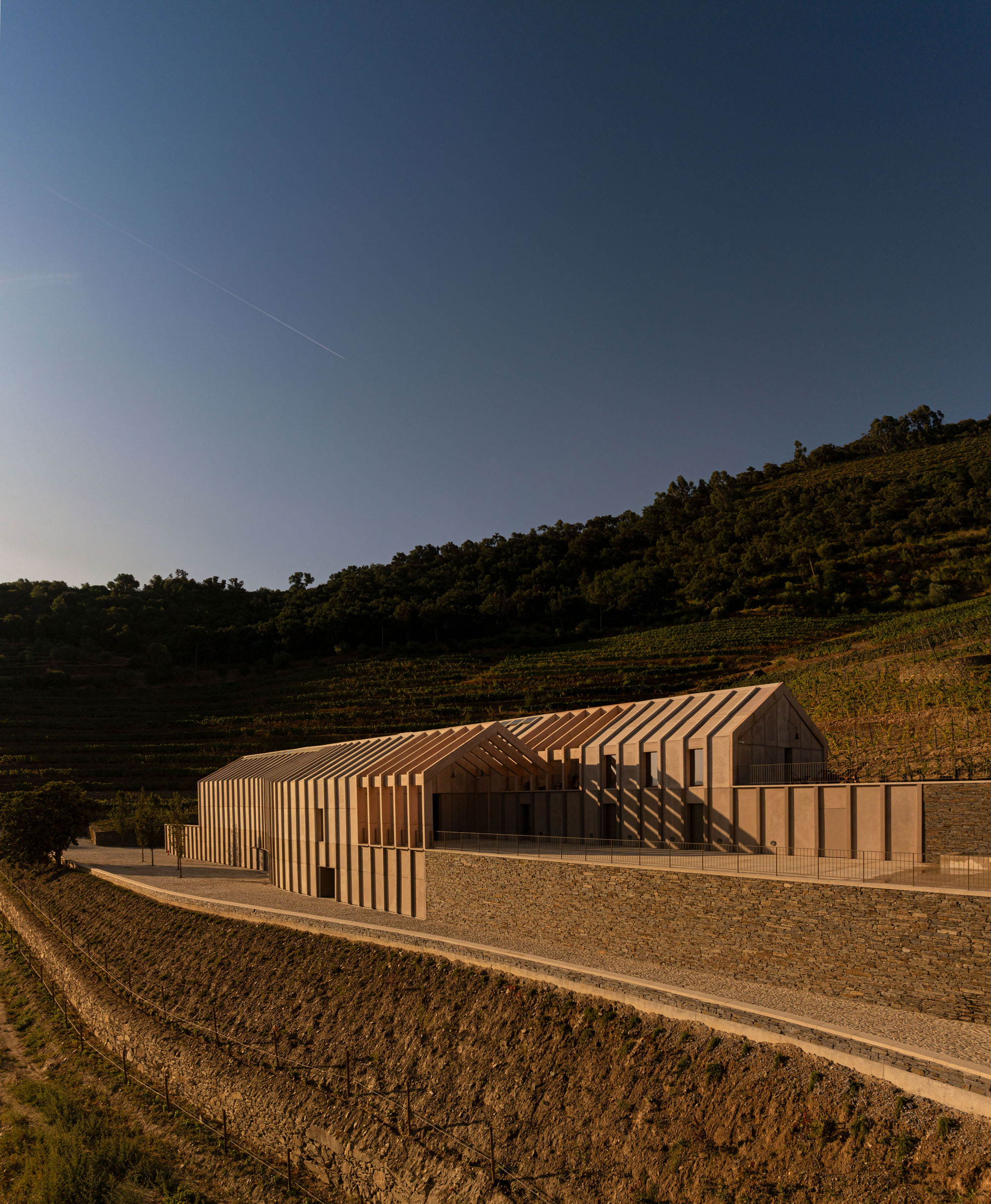 〈キンタ・デ・アドリゴ・ワイナリー(Quinta de Adorigo Winery)〉アトリエ・セルジオ・レベロ(Atelier Sérgio Rebelo)