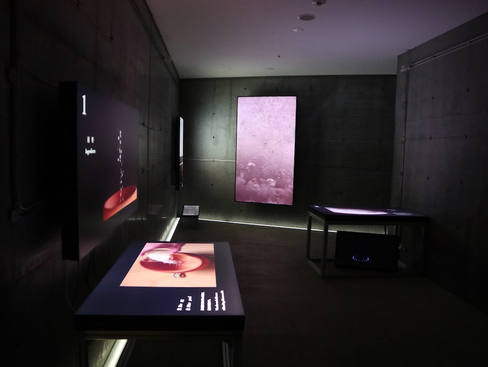 21_21 DESIGN SIGHT企画展「スープはいのち」会場風景
