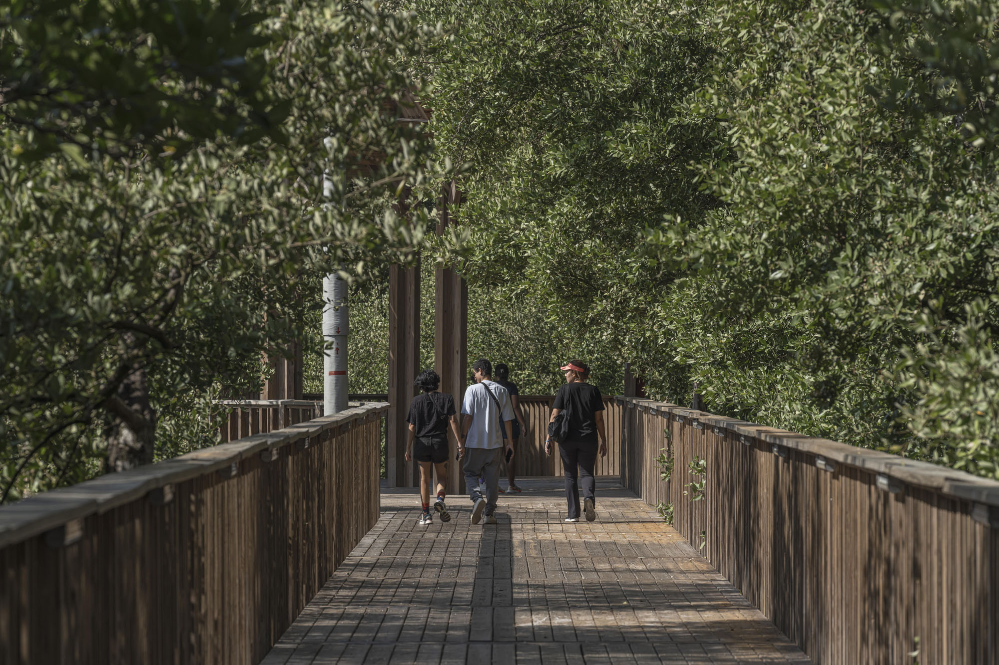 〈エコパルケ・シエナガ・デ・マジョルキン（Ecoparque Ciénaga de Mallorquín）〉DEBアーキテクチャ（DEB Architecture）エル・エクイポ・マッツァンティ（El Equipo Mazzanti）