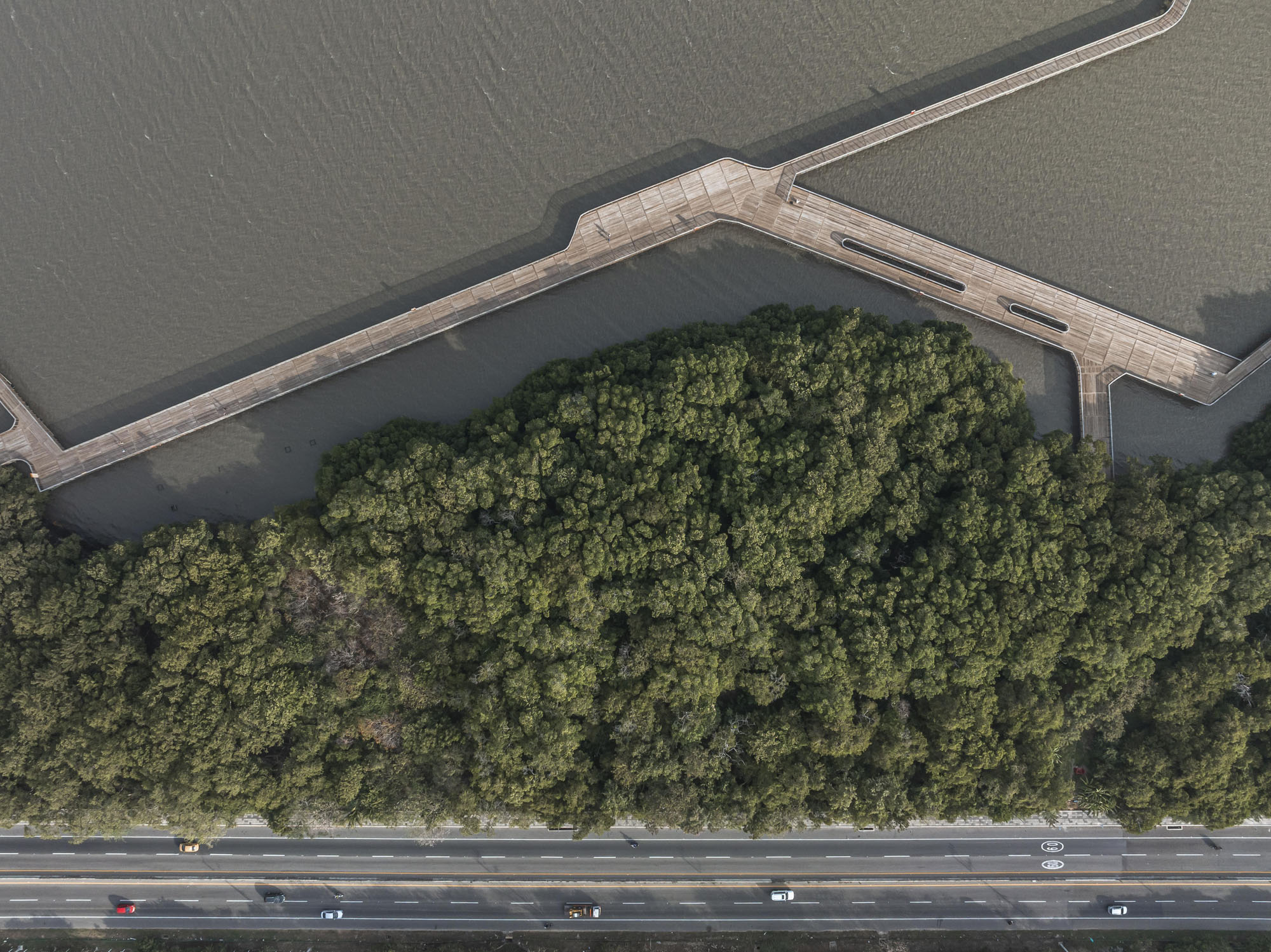 〈エコパルケ・シエナガ・デ・マジョルキン（Ecoparque Ciénaga de Mallorquín）〉DEBアーキテクチャ（DEB Architecture）エル・エクイポ・マッツァンティ（El Equipo Mazzanti）