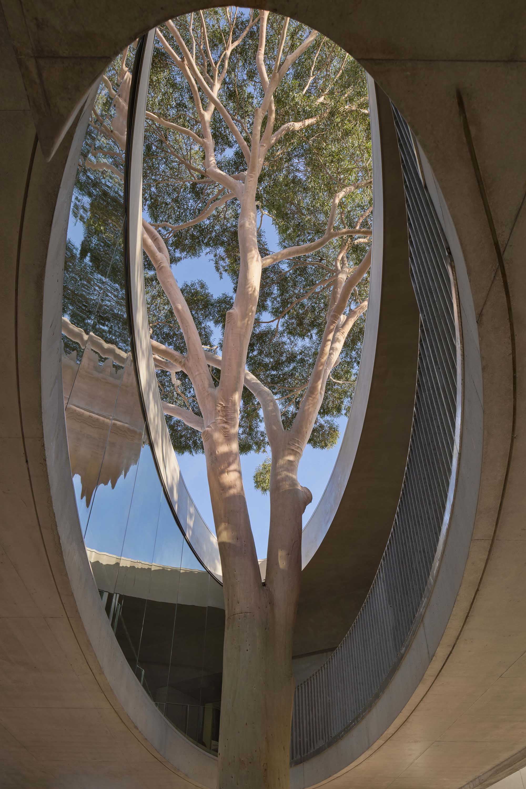 〈マーセリン・フライオーバー・ギャラリー（Marcellin Flyover Gallery）〉ファレル・レイ・アーキテクツ（Farrell Wray Architects）