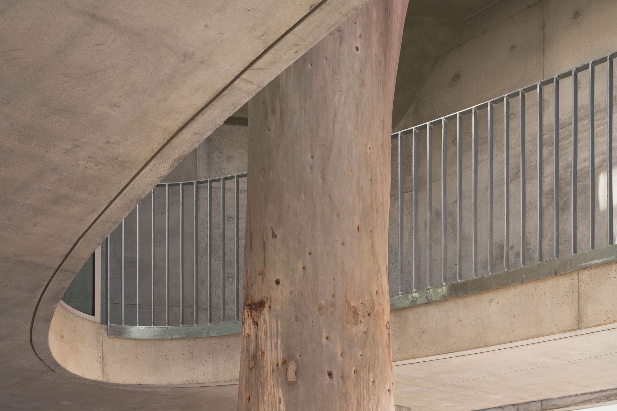 〈マーセリン・フライオーバー・ギャラリー（Marcellin Flyover Gallery）〉ファレル・レイ・アーキテクツ（Farrell Wray Architects）