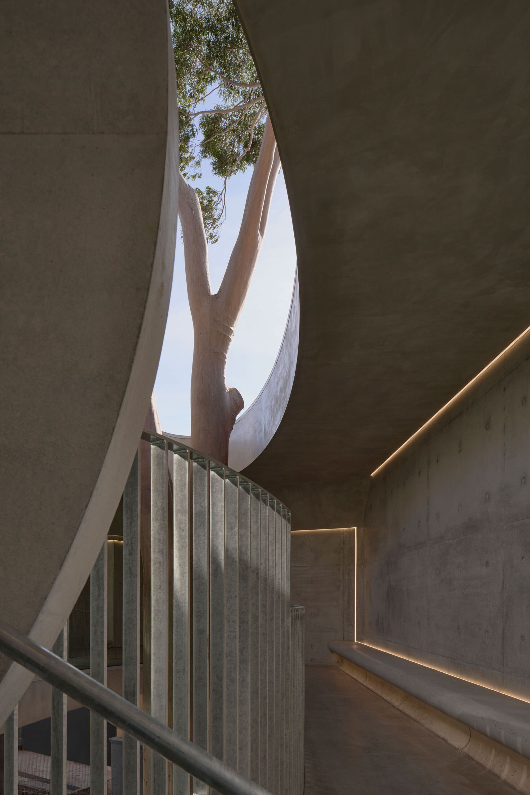 〈マーセリン・フライオーバー・ギャラリー（Marcellin Flyover Gallery）〉ファレル・レイ・アーキテクツ（Farrell Wray Architects）