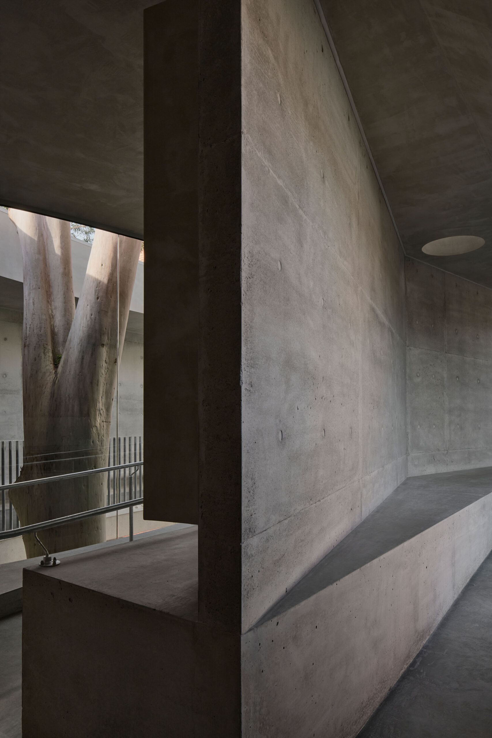 〈マーセリン・フライオーバー・ギャラリー（Marcellin Flyover Gallery）〉ファレル・レイ・アーキテクツ（Farrell Wray Architects）