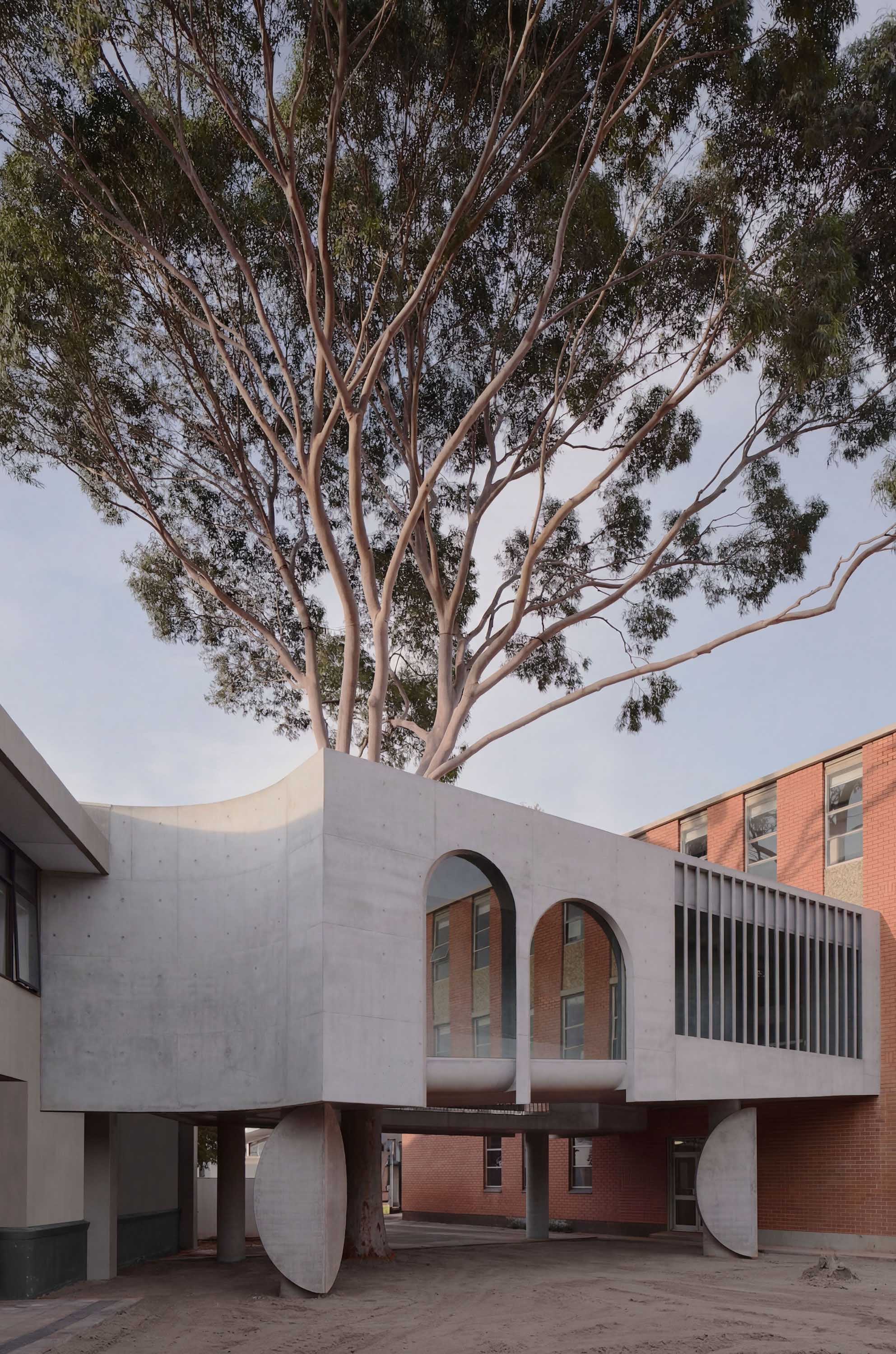 〈マーセリン・フライオーバー・ギャラリー（Marcellin Flyover Gallery）〉ファレル・レイ・アーキテクツ（Farrell Wray Architects）