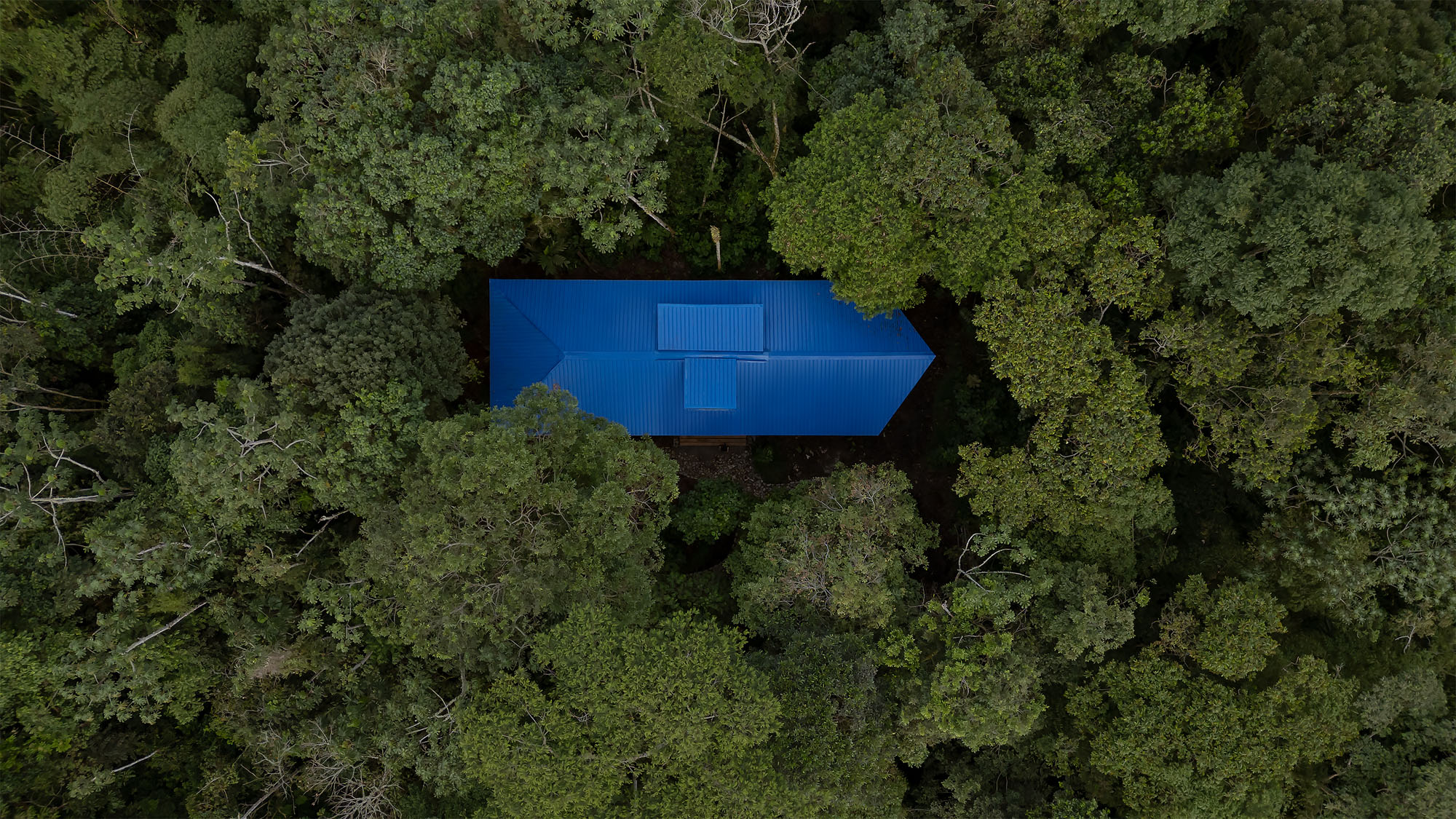 〈ワイルド・スマコ・リサーチ・パビリオン(WildSumaco Research Pavilion)〉